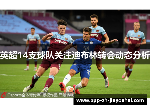 英超14支球队关注迪布林转会动态分析
