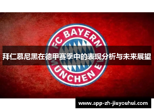 拜仁慕尼黑在德甲赛季中的表现分析与未来展望