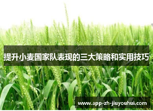 提升小麦国家队表现的三大策略和实用技巧