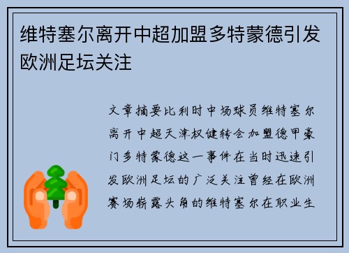 维特塞尔离开中超加盟多特蒙德引发欧洲足坛关注
